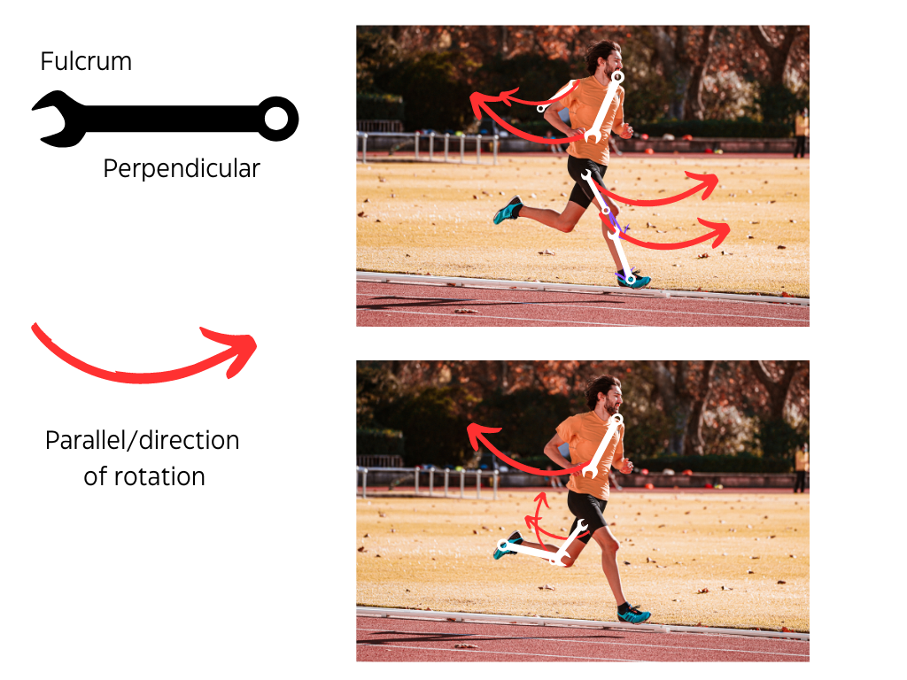 Parallel and Perpendicular